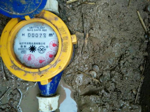 如何正确读取水表，精准掌握家庭用水量